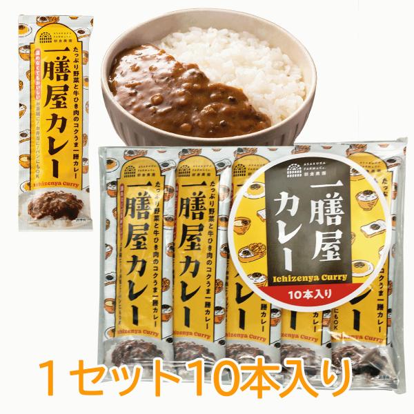 レトルトカレー 一膳屋カレー ひとくちカレー 40g×10本入り たっぷり野菜と牛ひき肉のコクうま ...