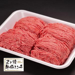 豪州産・アイルランド産・国産牛豚挽肉　1000ｇ