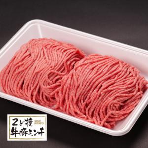 豪州産・アイルランド産・国産牛豚挽肉　500ｇ
