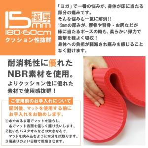 ヨガマット 厚さ 15mm メッシュケース付 ...の詳細画像3