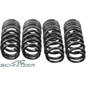 RSR RS-R Black-i車高調(ブラックアイ) セルシオ UCF30/FR H12/8〜H18