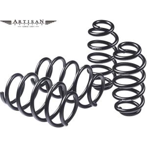TANABE（タナベ） NF210 ダウンサス レクサス NX350h Fスポーツ AAZH25
