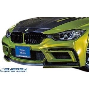 【M’s】 F30 BMW 3シリーズ 前期 (2012y-2015y) ENERGY MOTOR SPORT EVO30.1 フロントバンパーキット (カーボンエディション) FRP エナジーモータースポーツ｜emuzu-international