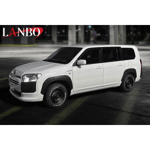 プロボックス　汎用フェンダー　チッピング塗装 プロボックス 汎用フェンダー チッピング塗装 プロボックス 160