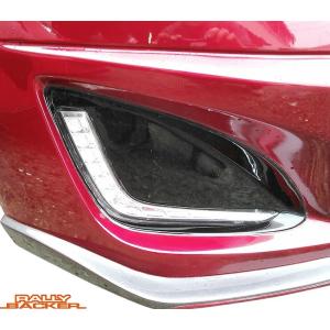 NCEC rally backer ダックテール トランクスポイラー NCEC rally backer ダックテール トランクスポイラー ロードスター