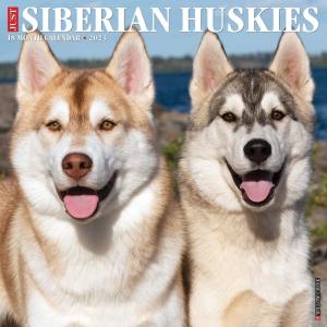 Just Siberian Huskies 2023 Wall Calendar｜en-office