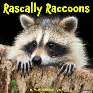 Rascally Raccoons 2023 Wall Calendar｜en-office