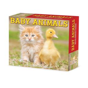 Baby Animals 2023 Calendar｜en-office