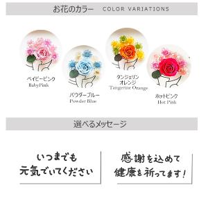 敬老の日 長寿祝い 花 メッセージ 2種 いつ...の詳細画像3