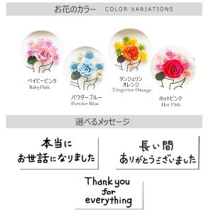 退職 送別会 メッセージ 花 お世話になりまし...の詳細画像5