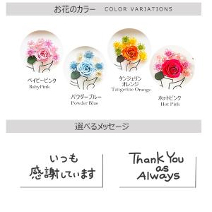 メッセージカード 母の日 花 ギフト いつも感...の詳細画像3