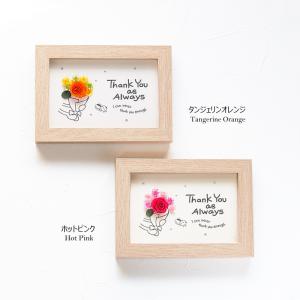 メッセージカード 母の日 花 ギフト いつも感...の詳細画像5
