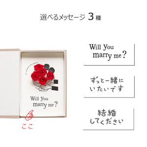 プロポーズ プレプロポーズ バラ5本 ポスト投...の詳細画像1