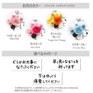 お見舞い 花 メッセージカード 早く良くなるこ...の詳細画像2