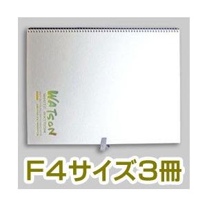 鉢植えとレモン　アクリル画　ホワイトワトソン紙　Ｆ4 333×242 画材 『ホワイトワトソンブロック 超特厚口 F4 HW-304』 muse