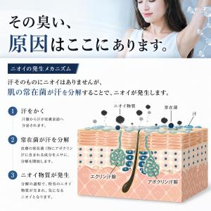 制汗剤 ワキガ ワキガ対策 デオドラント 医薬...の詳細画像2