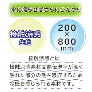 接触冷感 スヌーピー ライン クールタオル P...の詳細画像2