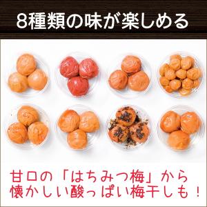【梅干し】猿梅のお試しセット《商品カタログ入り》紀州の梅干し各60g×8種類入り