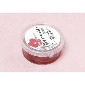 [梅干し]ふっくら小梅（しそ味）100g [お味見用]　和歌山県紀州産の小梅｜enbai