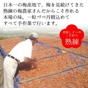 梅干し 猿梅 ペット容器入り(280g)はちみ...の詳細画像5