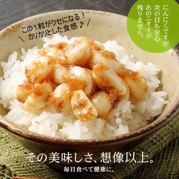 梅にんにく（500g）次の日もニオイがしない無臭にんにく 紀州南高梅と国産かつお節でミックス（2個ま...