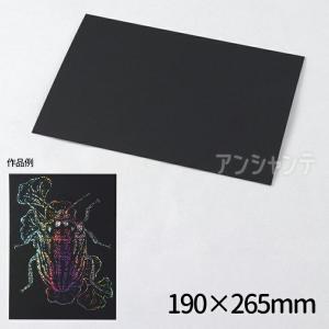 ホログラムスクラッチボード 190×265ｍｍ 1個入【ゆうパケット対応】
