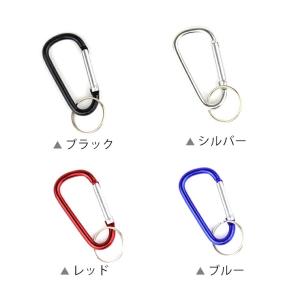 全4色 アルミ製カラビナ 【ゆうパケット対応】の詳細画像2