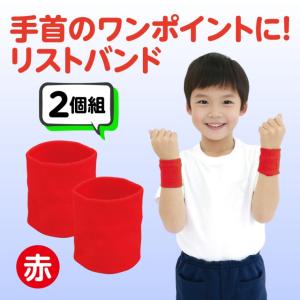 ダンスリストバンド 1組入 全11色【ゆうパケ...の詳細画像1
