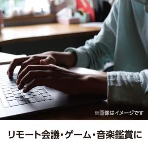 カナル型イヤホン(イヤーピース付) 1個入【ゆ...の詳細画像4