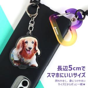 うちの子 切り抜き写真キーホルダー アクリル製...の詳細画像3