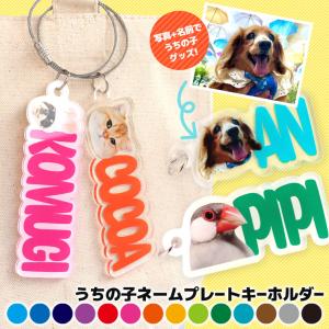 期間限定価格】マカロンカラーの3Dネームキーホルダー☆パステルアク