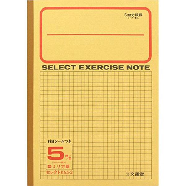 【文運堂】セレクト学習帳 ５ミリ方眼 ５mm