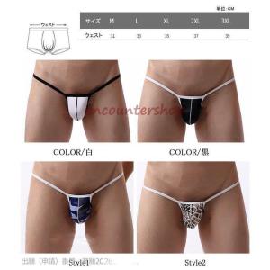 男性水着 メンズTバックショーツ 男性用下着 ...の詳細画像1