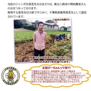 2026年新豆 掘り取り生落花生【おおまさり1...の詳細画像2