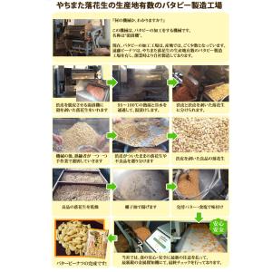 【極細バタピー100%の柿ピー250g】 八街...の詳細画像3