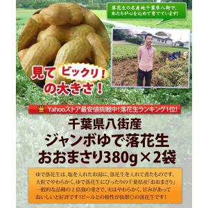 《冷凍》手もぎジャンボゆで落花生【おおまさり3...の詳細画像1