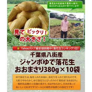《冷凍》手もぎジャンボゆで落花生【おおまさり3...の詳細画像1