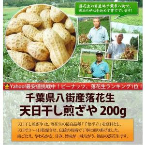 【天日干し煎ざや(千葉半立)200g】 千葉県...の詳細画像1