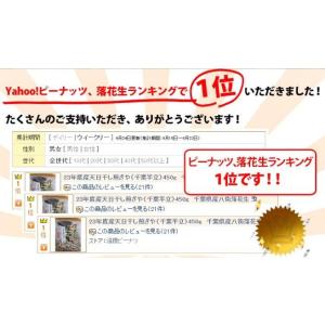 【天日干し煎ざや(千葉半立)200g】 千葉県...の詳細画像2