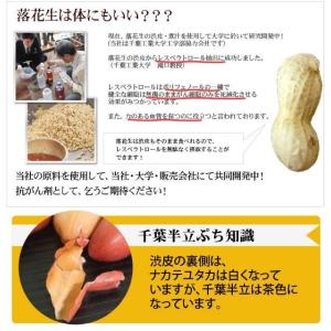【味付・千葉半立200g】 千葉県八街産落花生の詳細画像4