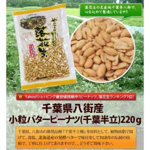 【小粒バタピー220g】 千葉半立 千葉県産落花生の詳細画像1