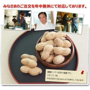 【煎ざや・千葉半立300g×3袋セット】 千葉...の詳細画像5