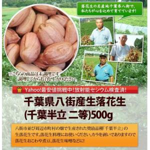 【未調理なま落花生二等・千葉半立500g】 千...の詳細画像1