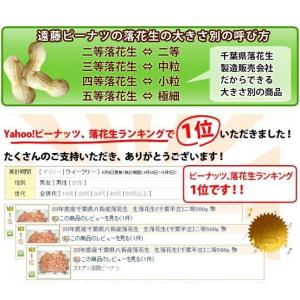 【未調理なま落花生二等・千葉半立500g】 千...の詳細画像2
