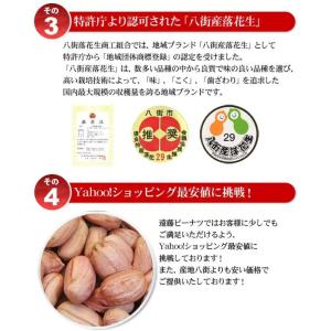 【未調理なま落花生二等・千葉半立500g】 千...の詳細画像4