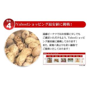 【未調理なま落花生(ナカテユタカ)二等】500...の詳細画像4