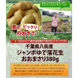 期間限定50%OFF!《冷凍》 手もぎジャンボ...の詳細画像1