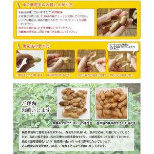 期間限定50%OFF!《冷凍》 手もぎジャンボ...の詳細画像5