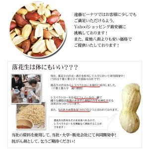 【製菓用素煎500g】 千葉半立・ナカテユタカ...の詳細画像4