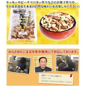 【製菓用素煎500g】 千葉半立・ナカテユタカ...の詳細画像5